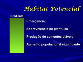 Habitat Potencial
Gradiente

Emergencia
Sobrevivência de plantulas
Produção de sementes viáveis
Aumento populacional significante

 