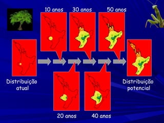 10 anos

30 anos

50 anos

Distribuição
atual

Distribuição
potencial

20 anos

40 anos

 