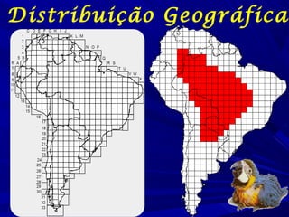 Distribuição Geográfica

 