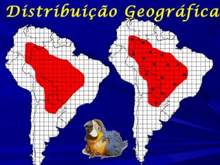Distribuição Geográfica

 