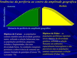 Declínio

Aumenta

Genetic diversity

Diversidade Genética

Tendências da periferia ao centro da amplitude geográfica

Distancia da periferia da amplitude geográfica
Hipótese de Carson – as populações
centrais mantêm uma diversidade genética
maior, sofrendo a seleção balancante mas
as populações periféricas, pequenas,
isoladas e fragmentadas, têm uma
diversidade baixa. As condições marginais
permitem a sobrevivência de somente um
número limitado de genotipos (Carson ‘59,
Lewontin ‘74)

Hipótese de Fisher – as
populações periféricas suportam
níveis maiores da diversidade
genética, sofrendo a seleção
flutuante em ambientes
espacialmente heterogêneos e não
previsíveis mas as populações
centrais experimentam a seleção
estabilizante (Fisher ’30)

 