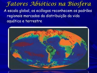 Fatores Abióticos na Biosfera
A escala global, os ecólogos reconhecem os padrões
regionais marcados da distribuição da vida
aquática e terrestre

 