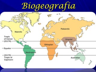Biogeografia

 