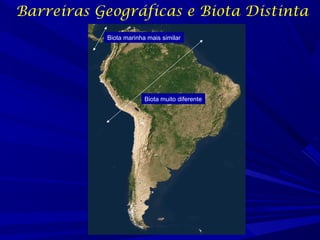 Barreiras Geográficas e Biota Distinta
Biota marinha mais similar

Biota muito diferente

 