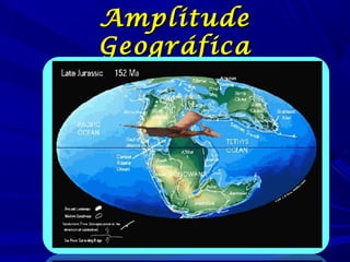 Amplitude
Geográfica

 
