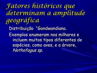 Fatores históricos que
determinam a amplitude
geográfica
Distribuição “Gondwandiana.
Exemplos enumeram nos milhares e
incluem muitos tipos diferentes de
espécies, como aves, e a árvore,
Nothofagus sp.

 