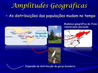 Amplitudes Geográficas
– As distribuições das populações mudam no tempo
Mudança geográfica de Picea
rubens após glaciação
Imigração
Da África

Expansão da distribuição da garça boiadeiro

 