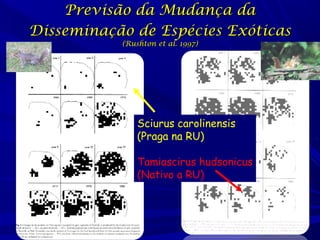 Previsão da Mudança da
Disseminação de Espécies Exóticas
(Rushton et al. 1997)

Sciurus carolinensis
(Praga na RU)
Tamiascirus hudsonicus
(Nativo a RU)

 