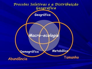 Pressões Seletivas e a Distribuição
Geográfica
Geográfica

Macro-ecologia

Demográfica

Abundância

Metabólica

Tamanho

 