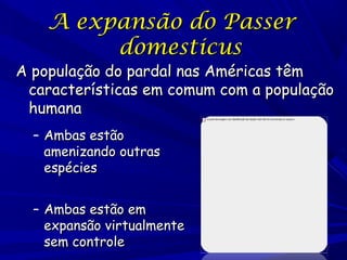 A expansão do Passer
domesticus

A população do pardal nas Américas têm
características em comum com a população
humana
– Ambas estão
amenizando outras
espécies
– Ambas estão em
expansão virtualmente
sem controle

 