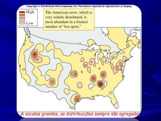 A escalas grandes, as distribuições sempre são agregadas

 