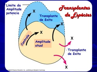 Limite da
Amplitude
potencia

Transplantes
de Espécies
Transplante

Co
nt
ro
le

de êxito

Amplitude
atual
Transplante
de êxito

 