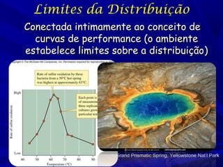 Limites da Distribuição
Conectada intimamente ao conceito de
curvas de performance (o ambiente
estabelece limites sobre a distribuição)

Grand Prismatic Spring, Yellowstone Nat’l Park

 