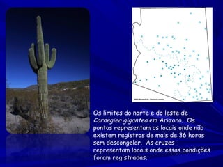 Os limites do norte e do leste de
Carnegiea gigantea em Arizona. Os
pontos representam os locais onde não
existem registros de mais de 36 horas
sem descongelar. As cruzes
representam locais onde essas condições
foram registradas.

 