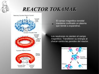 REACTOR TOKAMAK
            El campo magnético toroidal
            mantiene confinado un plasma
            que tiende a expandirse.



       Los neutrones no sienten el campo
       magnético. Transfieren su energía al
       chocar contra las paredes del reactor.
 
