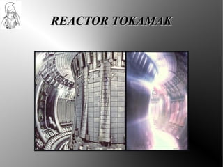 REACTOR TOKAMAK
 