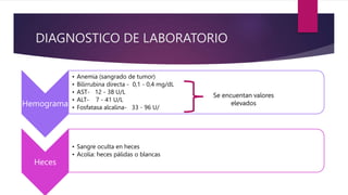 DIAGNOSTICO DE LABORATORIO
Hemograma
• Anemia (sangrado de tumor)
• Bilirrubina directa - 0,1 - 0,4 mg/dL
• AST- 12 - 38 U/L
• ALT- 7 - 41 U/L
• Fosfatasa alcalina- 33 - 96 U/
Heces
• Sangre oculta en heces
• Acolia: heces pálidas o blancas
Se encuentan valores
elevados
 