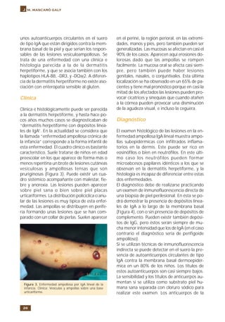 26
J m. mascaró galy
unos autoanticuerpos circulantes en el suero
de tipo IgA que están dirigidos contra la mem-
brana basal de la piel y que serían los respon-
sables de las lesiones vesiculoampollosas. Se
trata de una enfermedad con una clínica e
histología parecida a la de la dermatitis
herpetiforme, y que se asocia también con los
haplotipos HLA-B8, -DR3, y -DQw2. A diferen-
cia de la dermatitis herpetiforme no existe aso-
ciación con enteropatía sensible al gluten.
Clínica
Clínica e histológicamente puede ser parecida
a la dermatitis herpetiforme, y hasta hace po-
cos años muchos casos se diagnosticaban de
“dermatitis herpetiforme con depósitos linea-
les de IgA”. En la actualidad se considera que
la llamada “enfermedad ampollosa crónica de
la infancia” corresponde a la forma infantil de
esta enfermedad. El cuadro clínico es bastante
característico. Suele tratarse de niños en edad
preescolar en los que aparece de forma más o
menos repentina un brote de lesiones cutáneas
vesiculosas y ampollosas tensas que son
pruriginosas (Figura 3). Puede existir un cua-
dro sistémico acompañante con malestar, fie-
bre y anorexia. Las lesiones pueden aparecer
sobre piel sana o bien sobre piel placas
urticariformes. La distribución policíclica o anu-
lar de las lesiones es muy típica de esta enfer-
medad. Las ampollas se distribuyen en perife-
ria formando unas lesiones que se han com-
parado con un collar de perlas. Suelen aparecer
Figura 3. Enfermedad ampollosa por IgA lineal de la
infancia. Clínica: Vesículas y ampollas sobre una base
urticariforme.
en el periné, la región perioral, en las extremi-
dades, manos y pies, pero también pueden ser
generalizadas. Las mucosas se afectan en casi el
90% de los casos. Aparecen aquí erosiones do-
lorosas dado que las ampollas se rompen
facilmente. La mucosa oral se afecta casi siem-
pre, pero también puede haber lesiones
genitales, nasales, o conjuntivales. Esta última
localización se ha observado en un 65% de pa-
cientes y tiene mal pronóstico porque en casi la
mitad de los afectados las lesiones pueden pro-
vocar cicatrices y sinequias que cuando atañen
a la córnea pueden provocar una disminución
de la agudeza visual, e incluso la ceguera.
Diagnóstico
El examen histológico de las lesiones en la en-
fermedad ampollosa IgA lineal muestra ampo-
llas subepidérmicas con infiltrados inflama-
torios en la dermis. Este puede ser rico en
eosinófilos o bien en neutrófilos. En este últi-
mo caso los neutrófilos pueden formar
microabcesos papilares idénticos a los que se
observan en la dermatitis herpetiforme, y la
histología es incapaz de diferenciar entre estas
dos enfermedades.
El diagnóstico debe de realizarse practicando
un examen de inmunofluorescencia directa de
una biopsia de piel perilesional. En ésta se po-
drá demostrar la presencia de depósitos linea-
les de IgA a lo largo de la membrana basal
(Figura 4), con o sin presencia de depósitos de
complemento. Pueden existir también depósi-
tos de IgG, pero éstos serán siempre de mu-
cha menor intensidad que los de IgA (en el caso
contrario el diagnóstico sería de penfigoide
ampolloso).
Si se utilizan técnicas de inmunofluorescencia
indirecta se puede detectar en el suero la pre-
sencia de autoanticuerpos circulantes de tipo
IgA contra la membrana basal dermoepidér-
mica en un 80% de los niños. Los títulos de
estos autoanticuerpos son casi siempre bajos.
La sensibilidad y los títulos de anticuerpos au-
mentan si se utiliza como substrato piel hu-
mana sana separada con cloruro sódico para
realizar este examen. Los anticuerpos de la
 