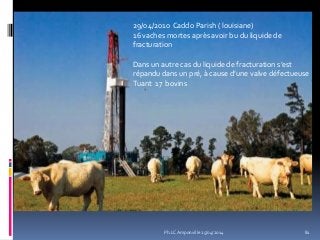 29/04/2010 Caddo Parish ( louisiane)
16 vaches mortes après avoir bu du liquide de
fracturation
Dans un autre cas du liquide de fracturation s’est
répandu dans un pré, { cause d’une valve défectueuse
Tuant 17 bovins
81Ph.LC Amponville 25/04/2014
 