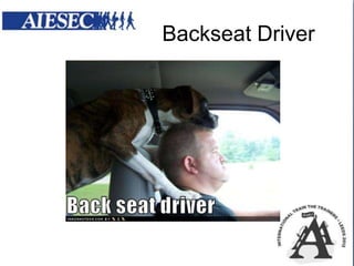 Backseat Driver

 