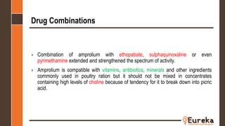 Drug Combinations
› Combination of amprolium with ethopabate, sulphaquinoxaline or even
pyrimethamine extended and strengthened the spectrum of activity.
› Amprolium is compatible with vitamins, antibiotics, minerals and other ingredients
commonly used in poultry ration but it should not be mixed in concentrates
containing high levels of choline because of tendency for it to break down into picric
acid.
 