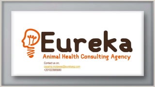 Contact us on;
ossama.motawae@eurekaeg.com
+201023985680
 
