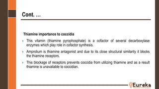 Cont. …
Thiamine importance to coccidia
› This vitamin (thiamine pyrophosphate) is a cofactor of several decarboxylase
enzymes which play role in cofactor synthesis.
› Amprolium is thiamine antagonist and due to its close structural similarity it blocks
the thiamine receptors.
› This blockage of receptors prevents coccidia from utilizing thiamine and as a result
thiamine is unavailable to coccidian.
 