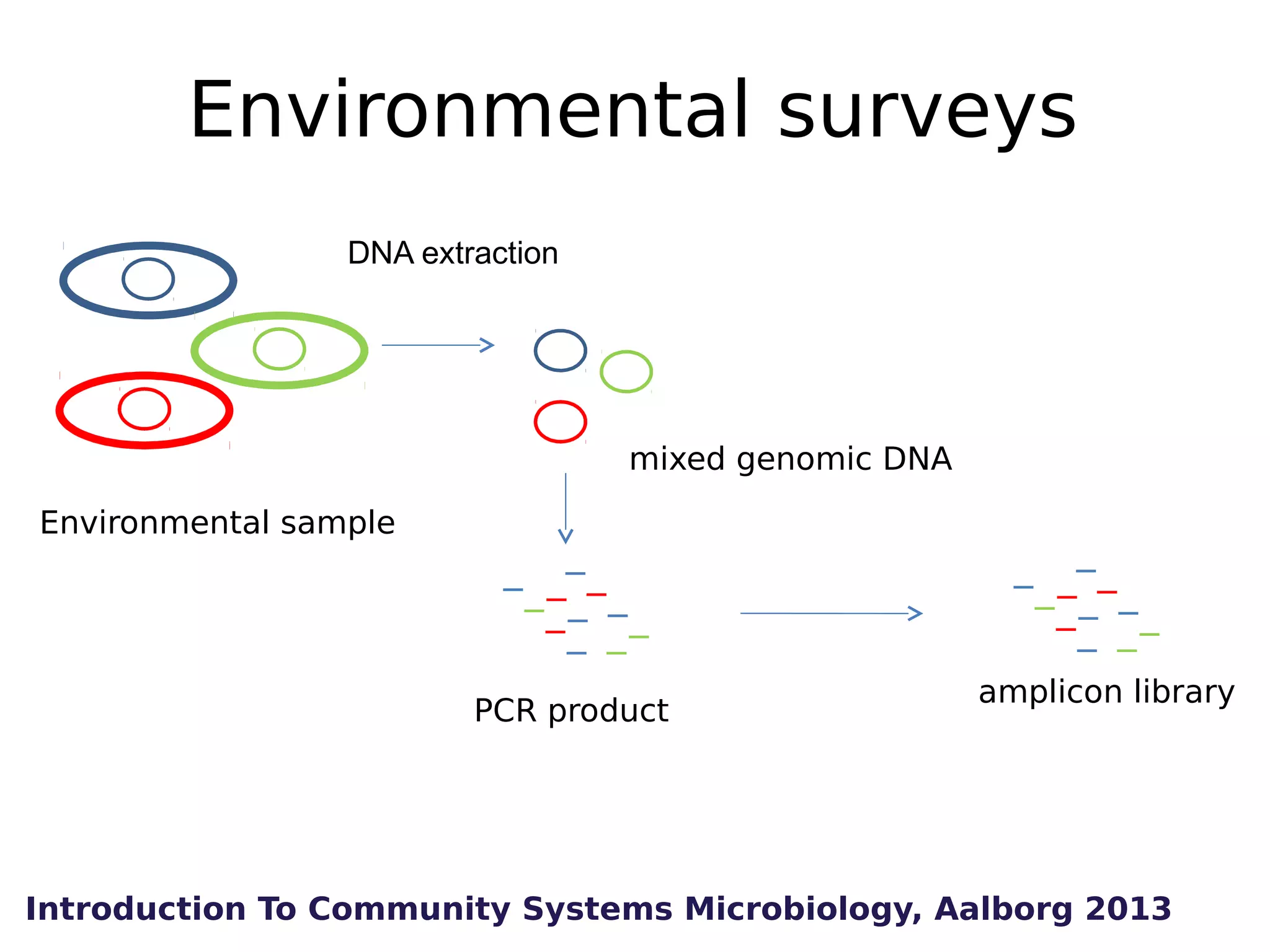 Environmental surveys
DNA extraction

mixed genomic DNA
Environmental sample

PCR product

amplicon library

Introduction To Community Systems Microbiology, Aalborg 2013

 