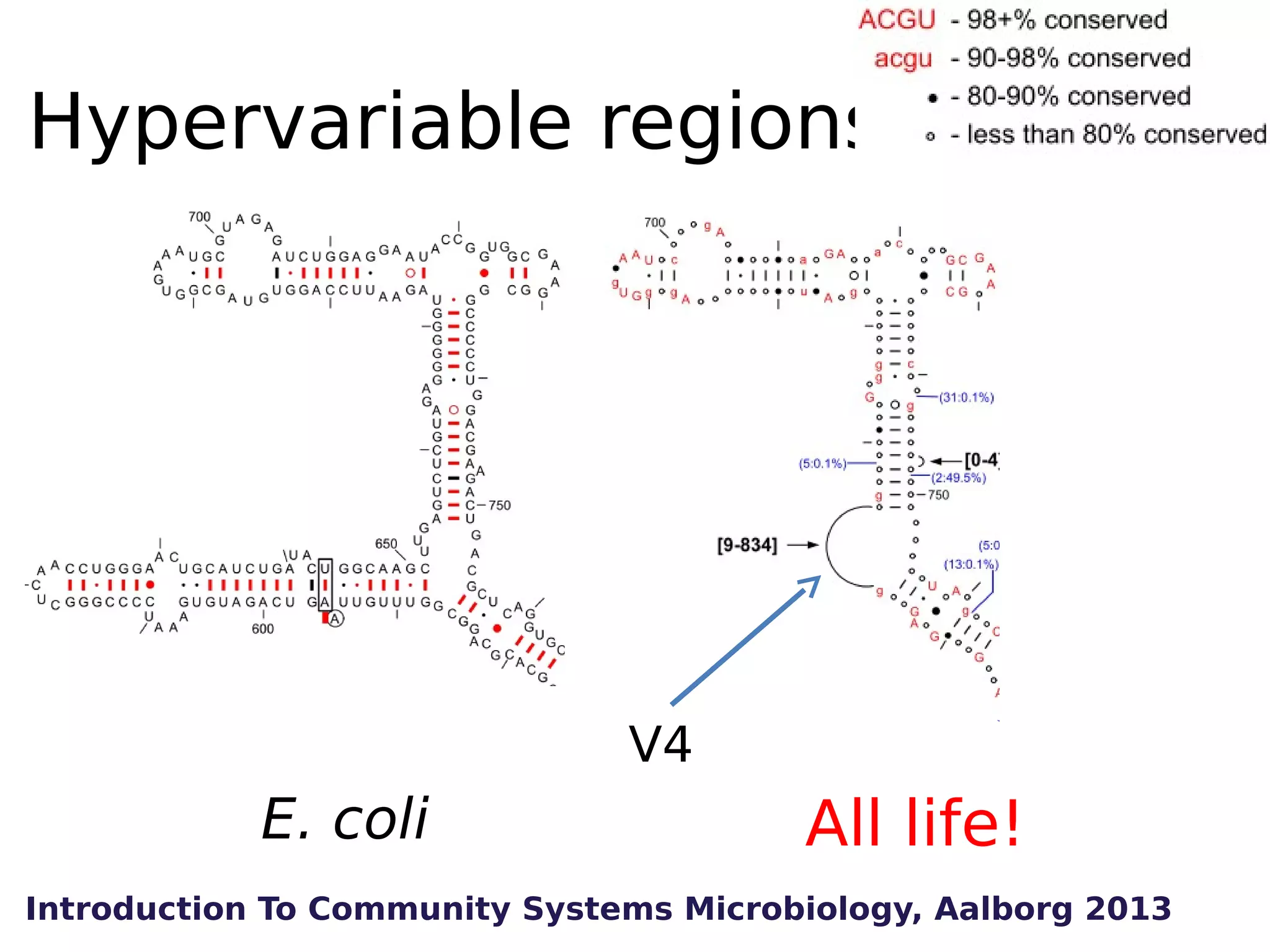Hypervariable regions

V4

E. coli

All life!

Introduction To Community Systems Microbiology, Aalborg 2013

 