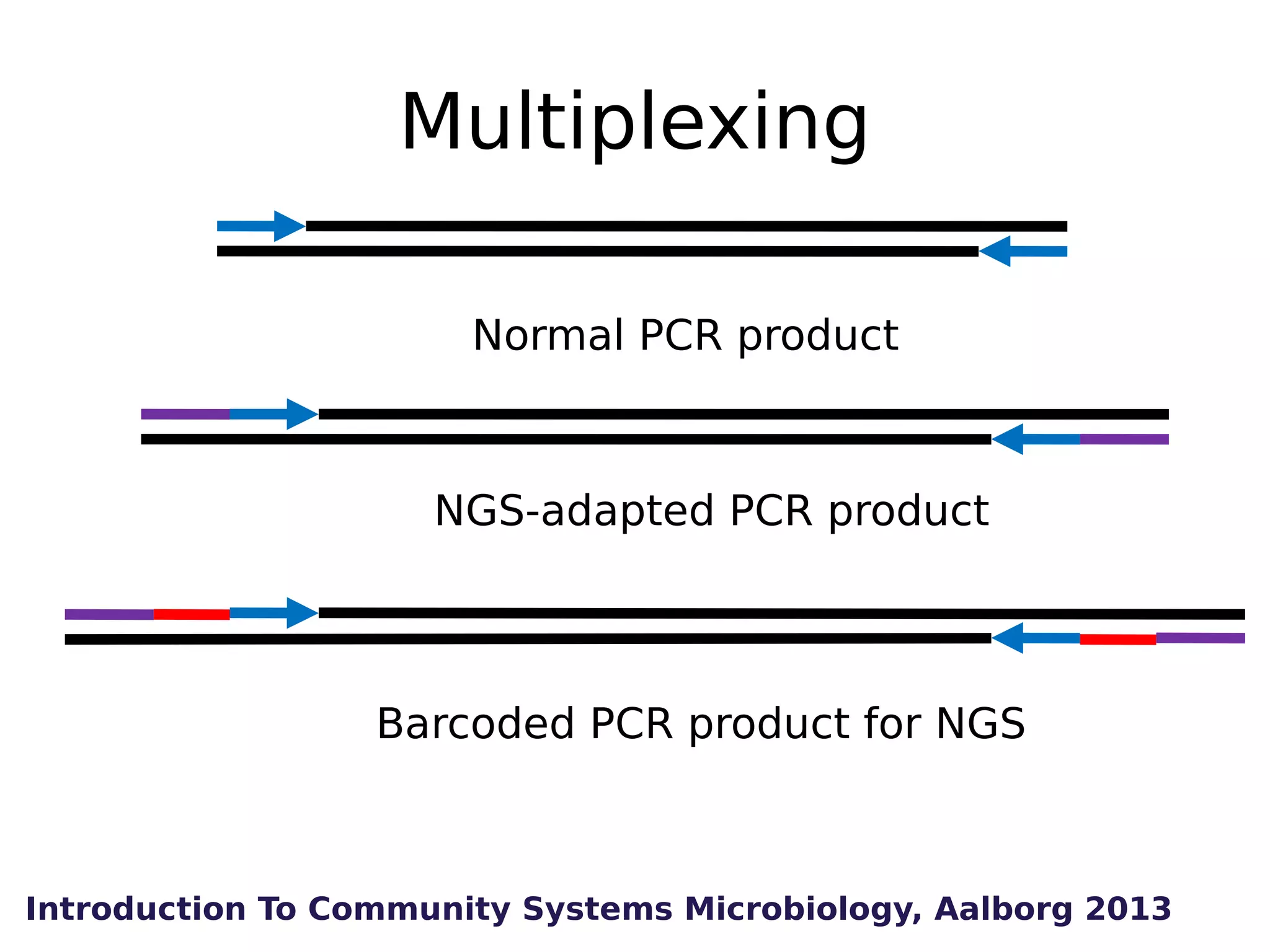 Multiplexing
Normal PCR product

NGS-adapted PCR product

Barcoded PCR product for NGS

Introduction To Community Systems Microbiology, Aalborg 2013

 
