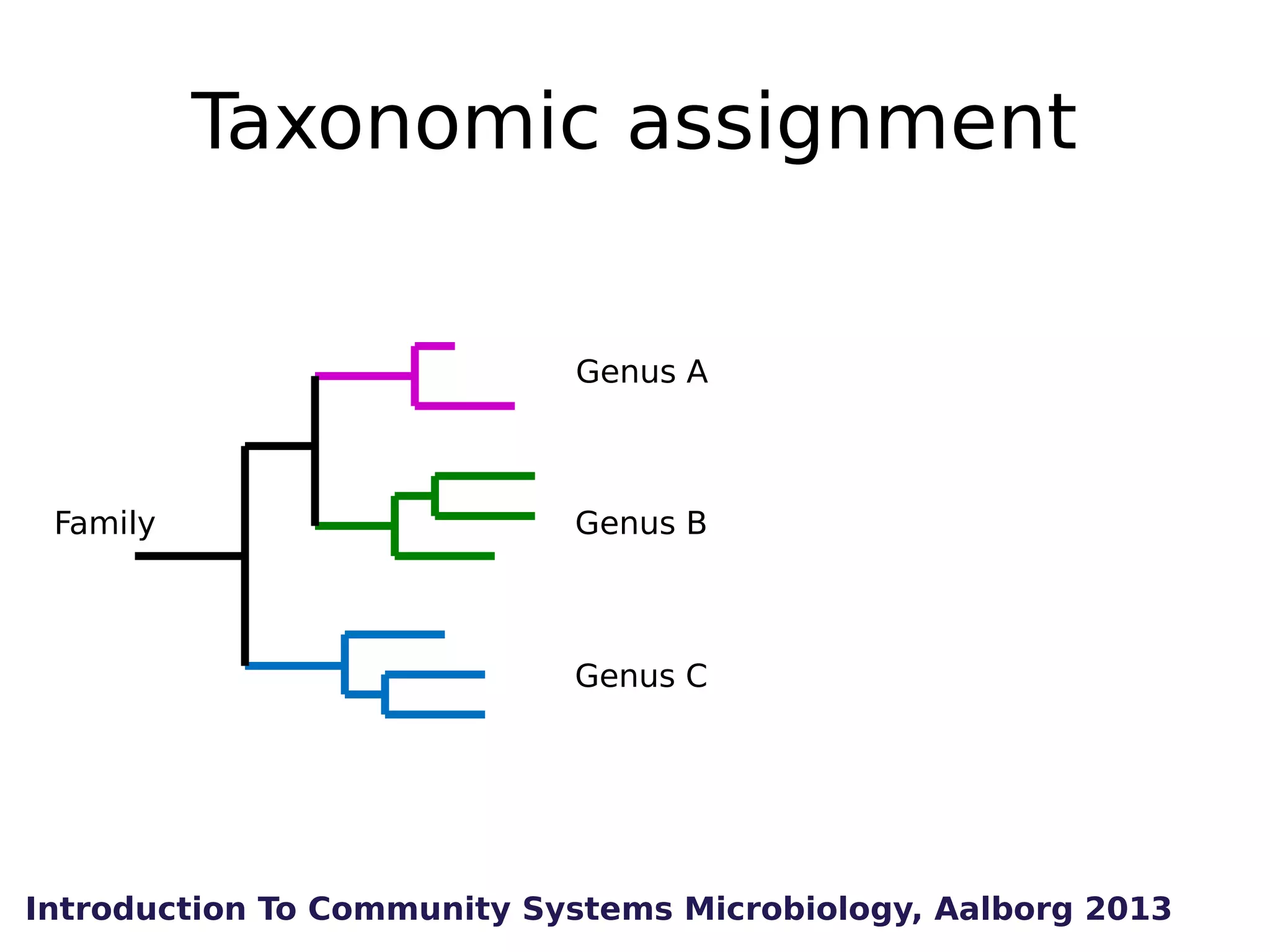 Taxonomic assignment
Genus A

Family

Genus B

Genus C

Introduction To Community Systems Microbiology, Aalborg 2013

 
