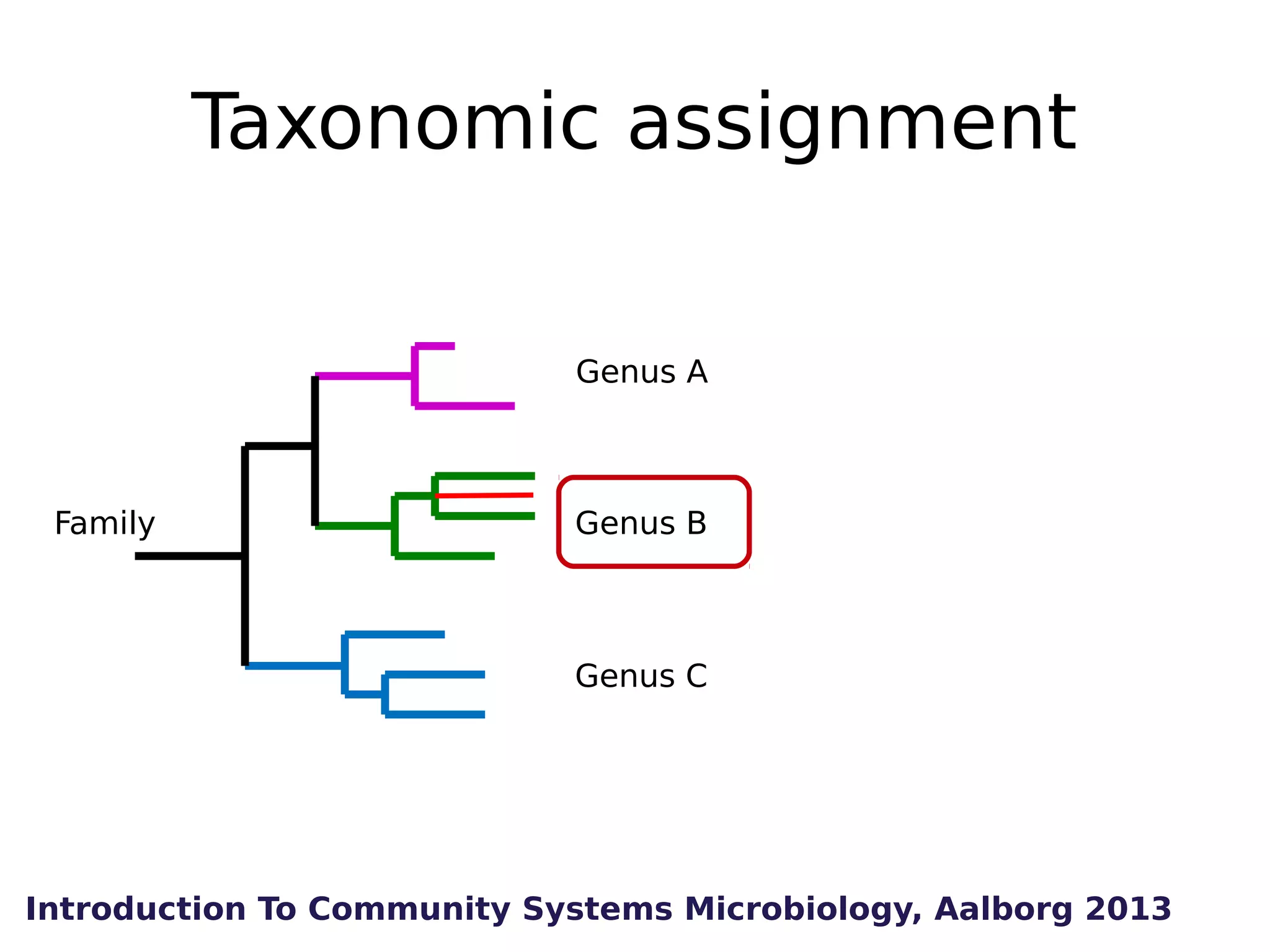 Taxonomic assignment
Genus A

Family

Genus B

Genus C

Introduction To Community Systems Microbiology, Aalborg 2013

 