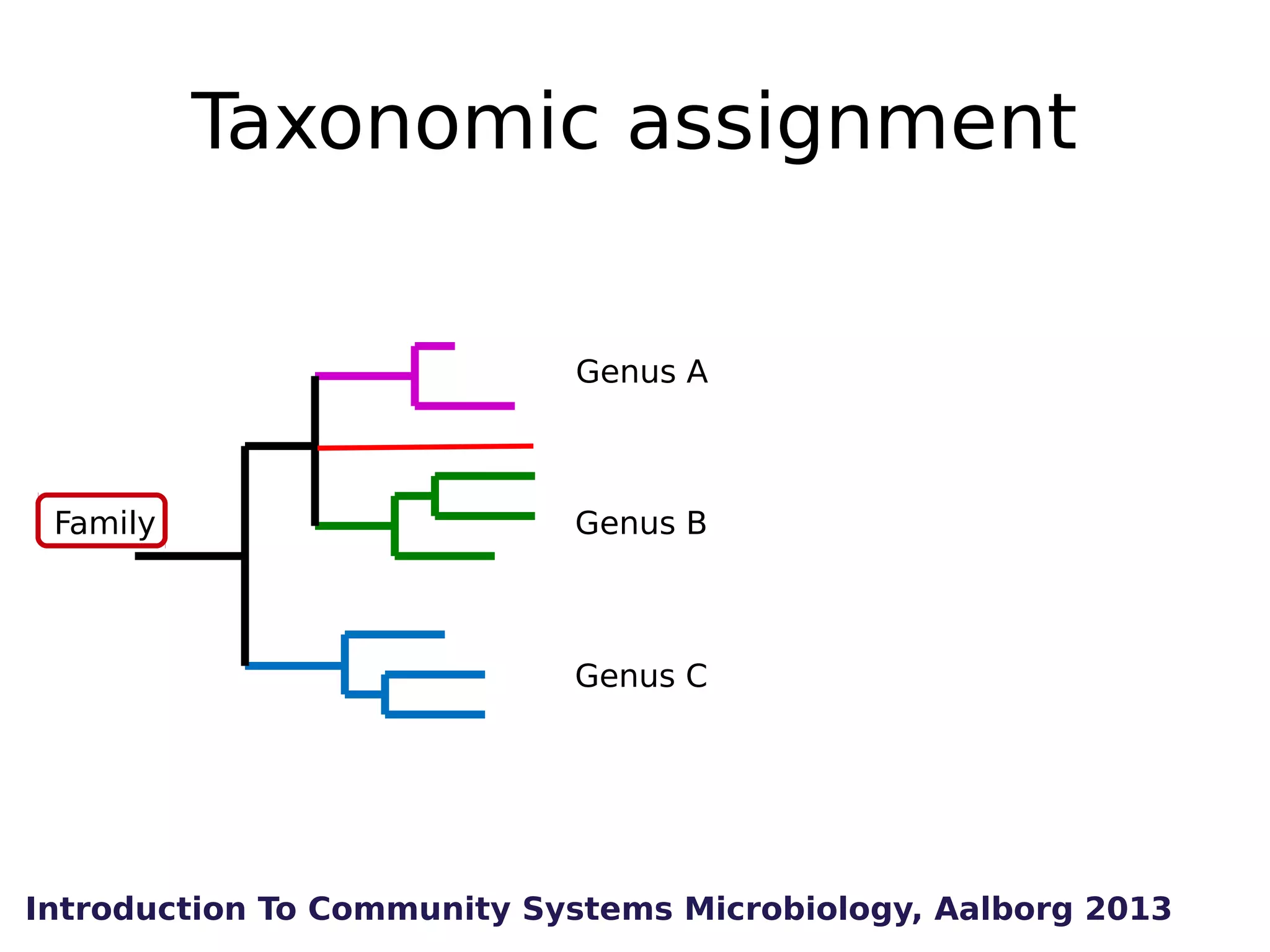 Taxonomic assignment
Genus A

Family

Genus B

Genus C

Introduction To Community Systems Microbiology, Aalborg 2013

 