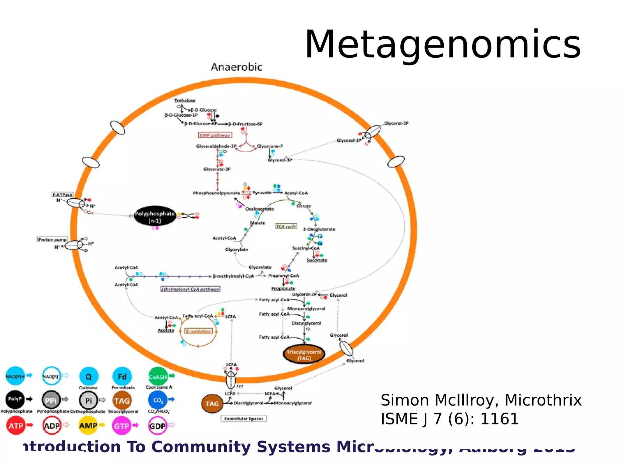 Metagenomics

Simon McIllroy, Microthrix
ISME J 7 (6): 1161
Introduction To Community Systems Microbiology, Aalborg 2013

 