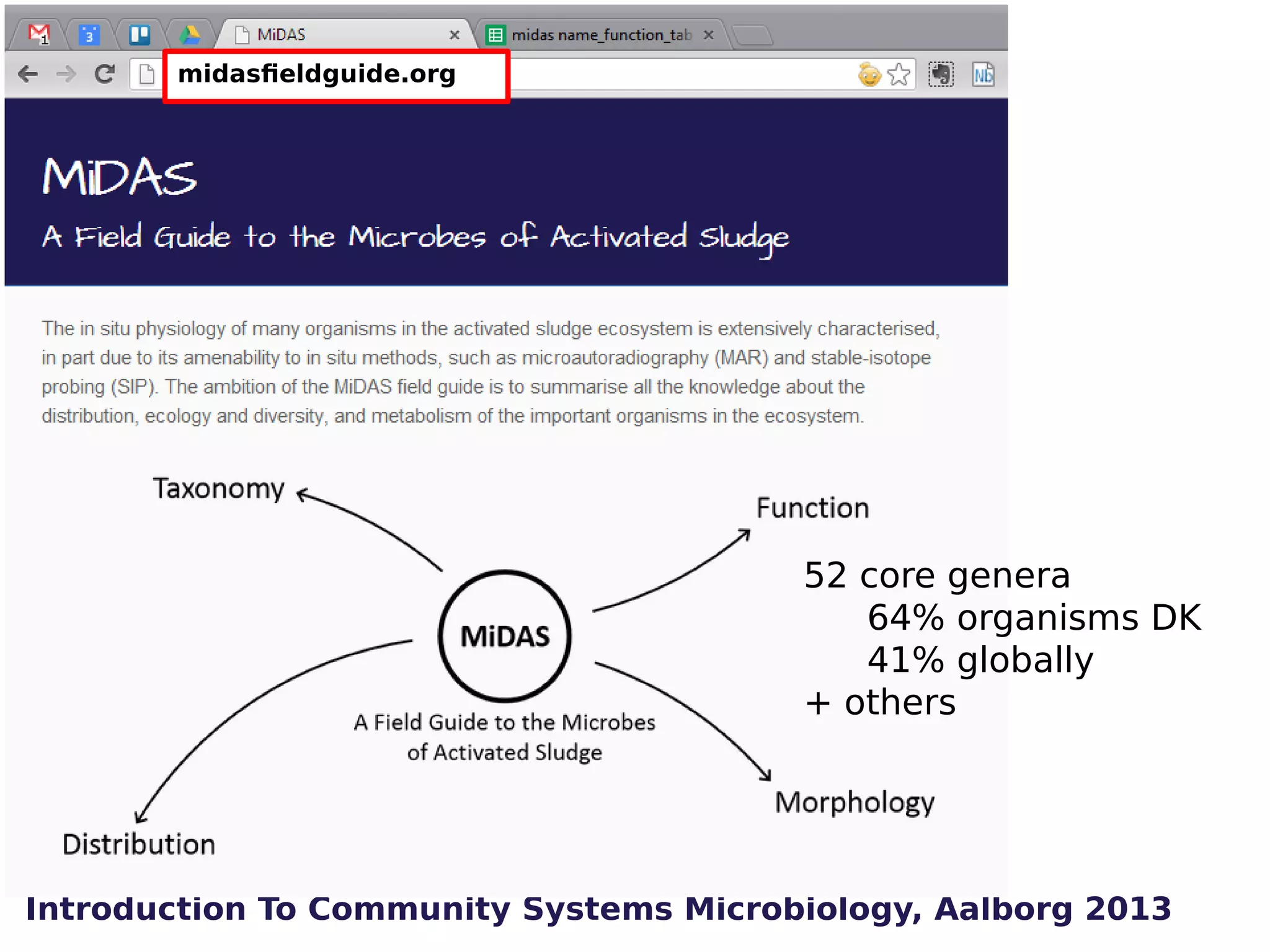 midasfieldguide.org

midasfieldguide.org

52 core genera
64% organisms DK
41% globally
+ others

Introduction To Community Systems Microbiology, Aalborg 2013

 