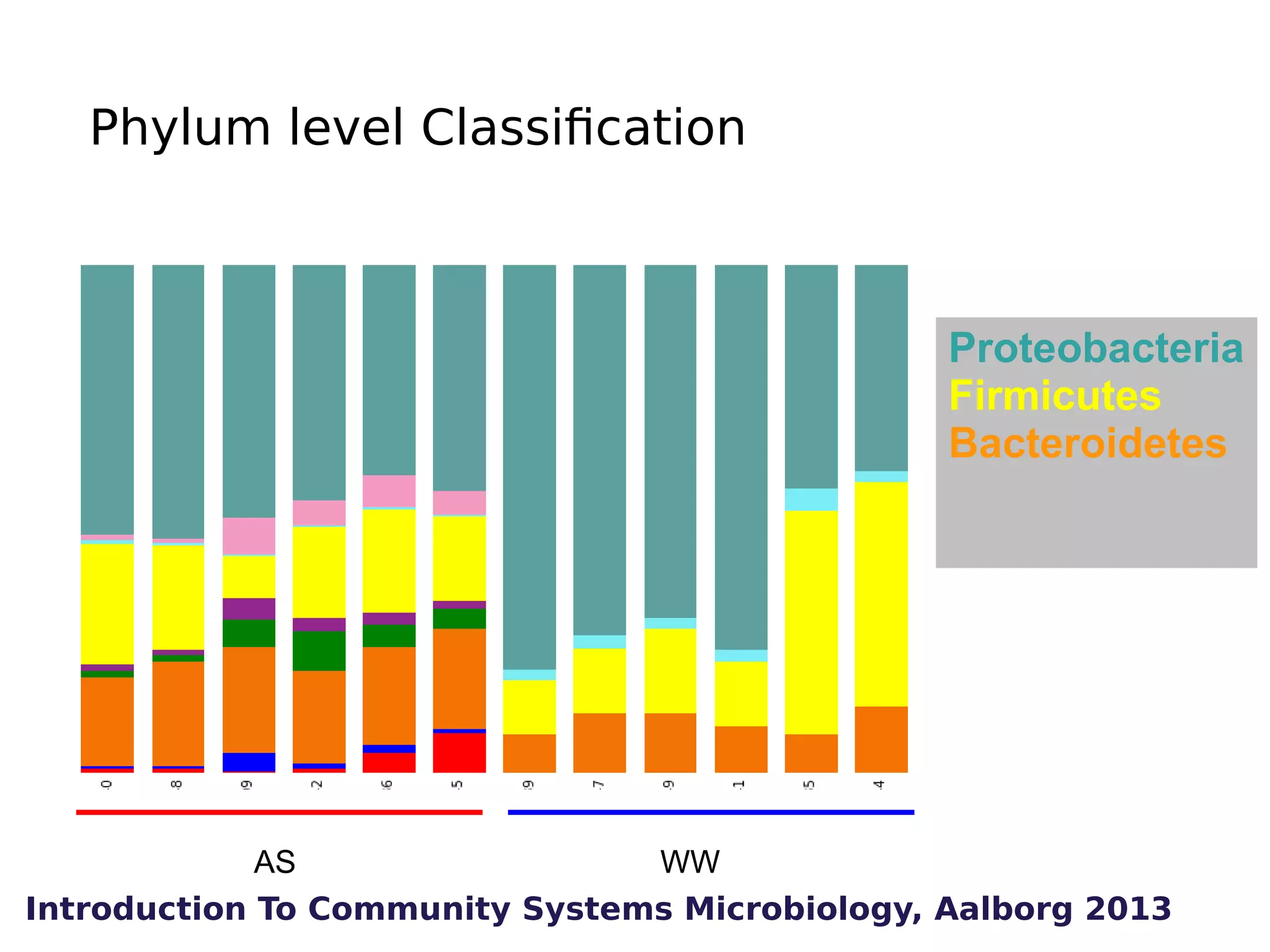 Phylum level Classification

Proteobacteria
Firmicutes
Bacteroidetes

AS
WW
Introduction To Community Systems Microbiology, Aalborg 2013

 