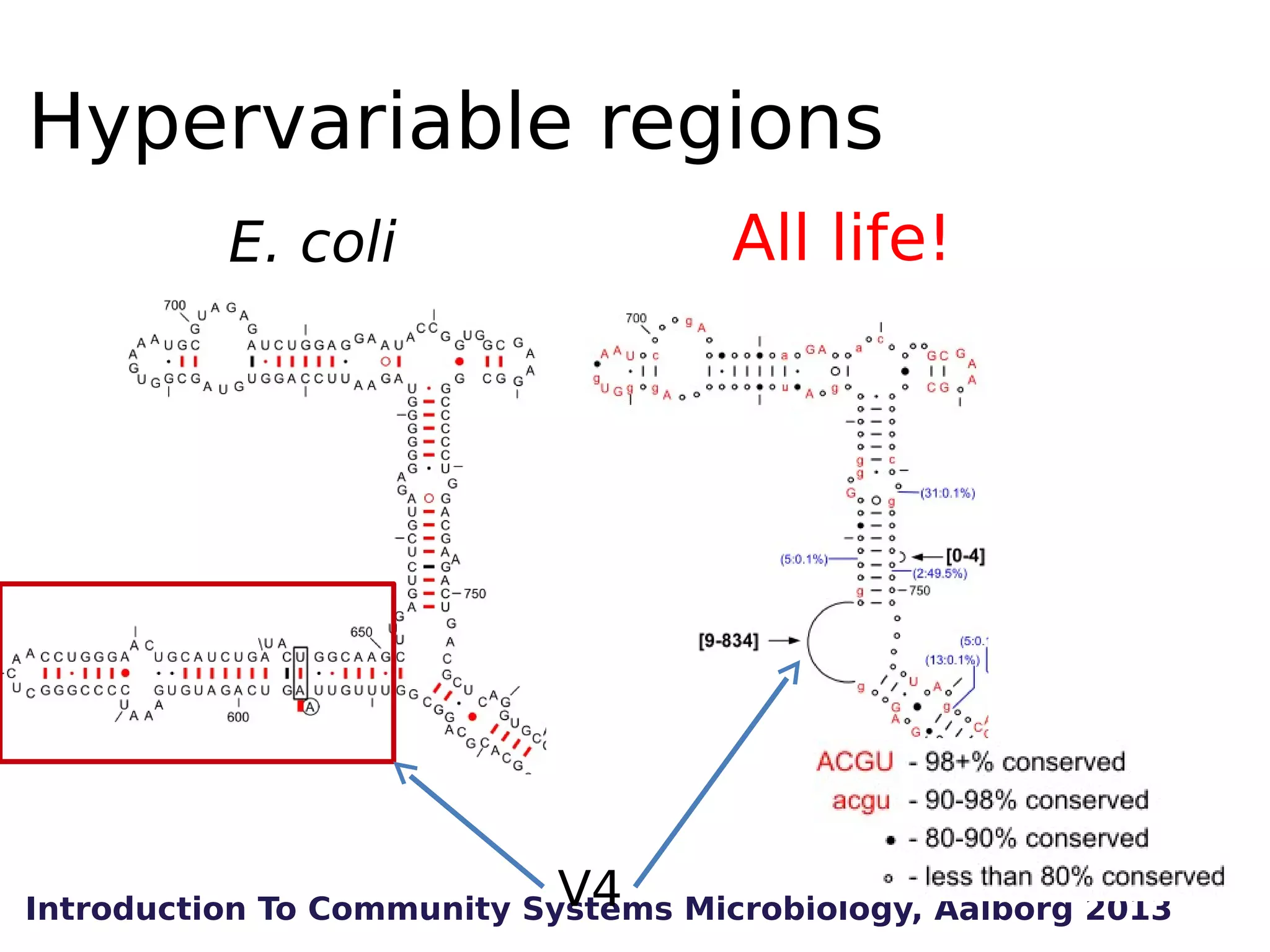 Hypervariable regions
E. coli

All life!

V4
Introduction To Community Systems Microbiology, Aalborg 2013

 