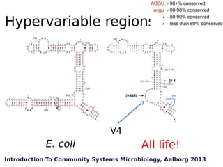 Hypervariable regions

V4

E. coli

All life!

Introduction To Community Systems Microbiology, Aalborg 2013

 