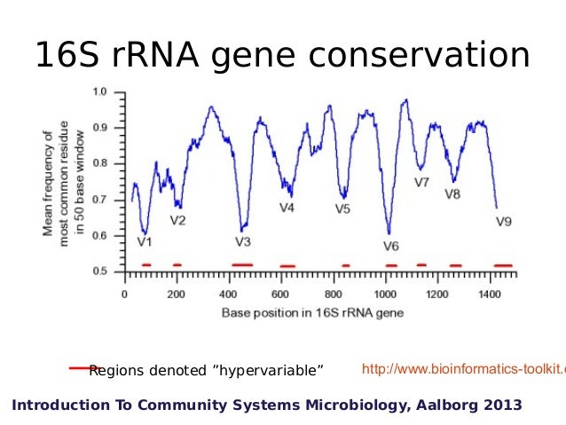 dna sequencing