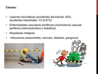 Causas:
• Lesiones traumáticas (accidentes del tránsito -63%,
accidentes industriales -73 al 81%)
• Enfermedades vasculares periféricas (insuficiencia vascular
periférica arteriosclerótica o diabética).
• Neoplasias malignas.
• Infecciones (osteomielitis, necrosis, diabetes, gangrena)
 