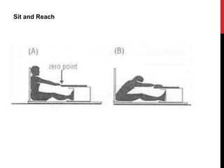 Sit and Reach
 