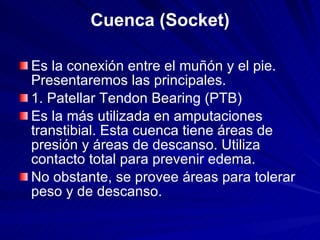 Cuenca (Socket) <ul><li>Es la conexión entre el muñón y el pie. Presentaremos las principales. </li></ul><ul><li>1. Patell...