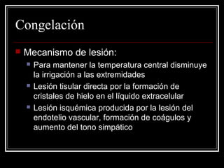 Congelación 
 Mecanismo de lesión: 
 Para mantener la temperatura central disminuye 
la irrigación a las extremidades 
 Lesión tisular directa por la formación de 
cristales de hielo en el líquido extracelular 
 Lesión isquémica producida por la lesión del 
endotelio vascular, formación de coágulos y 
aumento del tono simpático 
 