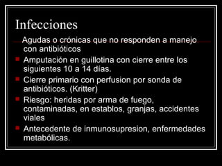 Infecciones 
Agudas o crónicas que no responden a manejo 
con antibióticos 
 Amputación en guillotina con cierre entre los 
siguientes 10 a 14 días. 
 Cierre primario con perfusion por sonda de 
antibióticos. (Kritter) 
 Riesgo: heridas por arma de fuego, 
contaminadas, en establos, granjas, accidentes 
viales 
 Antecedente de inmunosupresion, enfermedades 
metabólicas. 
 