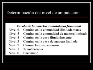 Determinación del nivel de amputación 
 