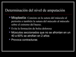 Determinación del nivel de amputación 
 Mioplastía: Consiste en la sutura del músculo al 
periostio o también la sutura del músculo al músculo 
sobre el extremo del hueso. 
 Evita la formación de bolsa dolorosa 
 Músculos seccionados que no se afrontan en un 
40 a 60% se atrofian en 2 años 
 Provoca contracturas 
 