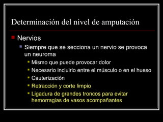 Determinación del nivel de amputación 
 Nervios 
 Siempre que se secciona un nervio se provoca 
un neuroma 
 Mismo que puede provocar dolor 
 Necesario incluirlo entre el músculo o en el hueso 
 Cauterización 
 Retracción y corte limpio 
 Ligadura de grandes troncos para evitar 
hemorragias de vasos acompañantes 
 