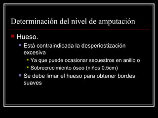 Determinación del nivel de amputación 
 Hueso. 
 Está contraindicada la desperiostización 
excesiva 
 Ya que puede ocasionar secuestros en anillo o 
 Sobrecrecimiento óseo (niños 0.5cm) 
 Se debe limar el hueso para obtener bordes 
suaves 
 