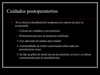 Cuidados postoperatorios 
• Si se inicia la deambulación temprana con soporte de peso se 
recomienda: 
1. Colocar un verdadero yeso protésico 
2. Preferentemente por un protesista calificado 
3. Uso adecuado de medias para muñón 
4. Almohadillado de fieltro contorneado sobre todas las 
prominencias óseas. 
5. Se fija un pilón de metal con un pie protésico al yeso y se aliena 
correctamente para la deambulación. 
 