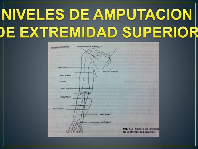 Archivo del blog
